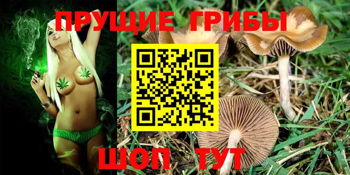 Псилоцибиновые грибы MAGIC MUSHROOMS  Вход с VPN  Ртищево 